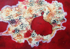 SK_07_2015_KIRMIZILIK_35X55CM